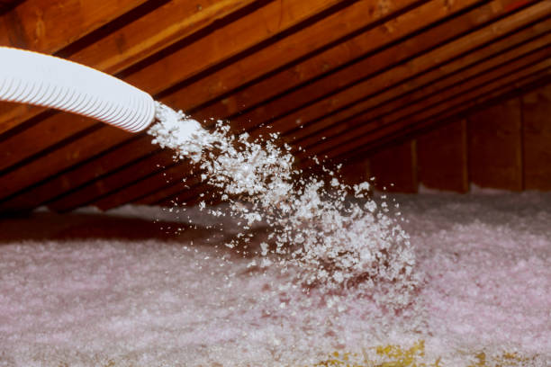 Best Insulation Maintenance and Repair in Ucon, ID