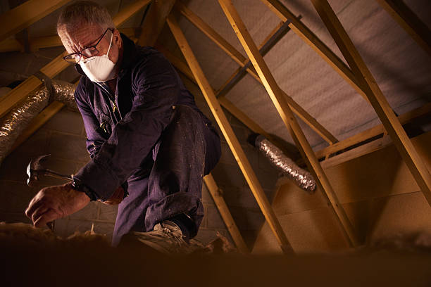 Best Residential Insulation in Ucon, ID